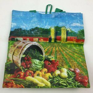 Be Wise Earthwise Reusable Grocery Shopping Bag
